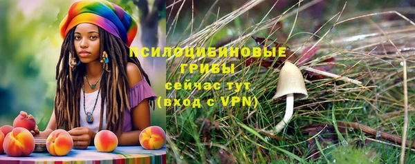 мяу мяу мука Абинск